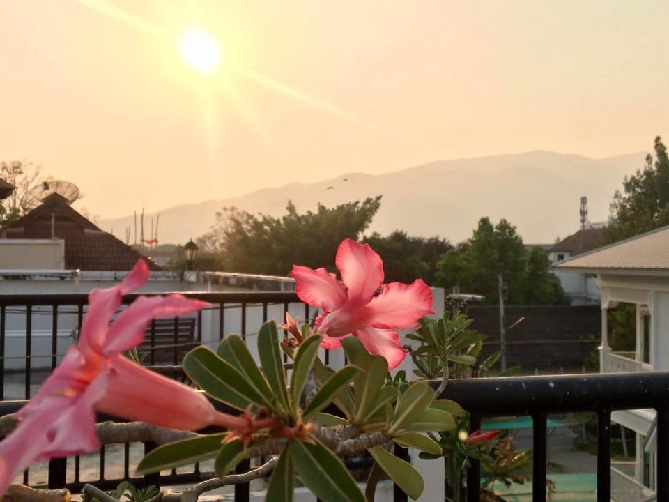 Nine Hotel Chiangmai Чиангмай Екстериор снимка