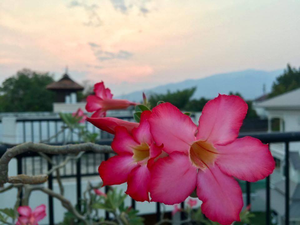 Nine Hotel Chiangmai Чиангмай Екстериор снимка